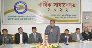 সাধারণ সভা