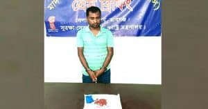 সাংবাদিক আটক